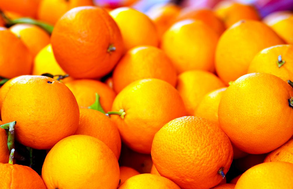 柑橘报告发布！全球产量小幅增加，中国橙汁进口或增超万吨