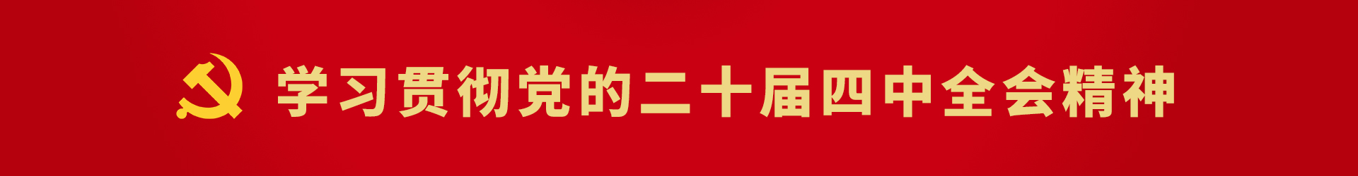 学习贯彻党的二十届四中全会精神