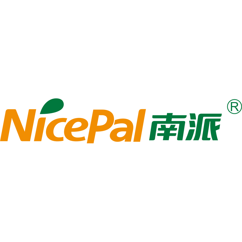 海南南派实业有限公司